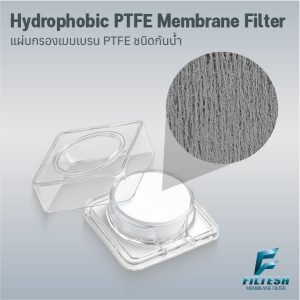 Hydrophobic PTFE Membrane Filter