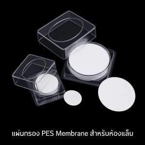 แผ่นกรอง PES Membrane สำหรับห้องแล็บ ขนาดต่างๆ