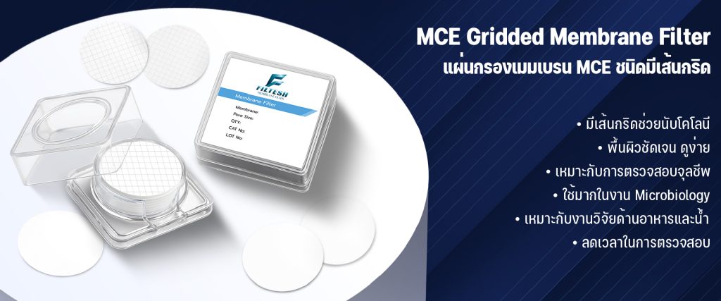 MCE Gridded Membrane Filter – แผ่นกรองเมมเบรน MCE ชนิดมีเส้นกริด