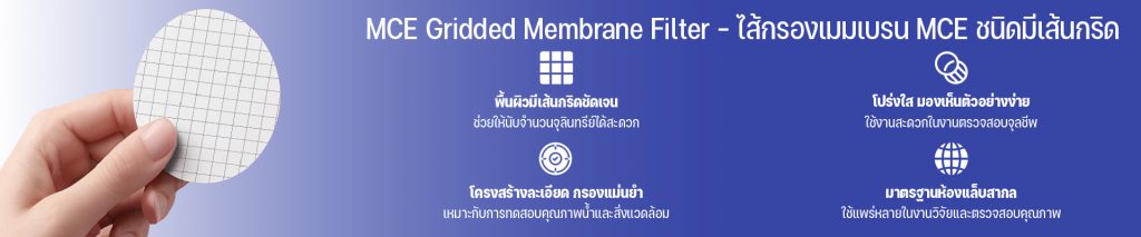 MCE Gridded Membrane Filter – ไส้กรองเมมเบรน MCE ชนิดมีเส้นกริด