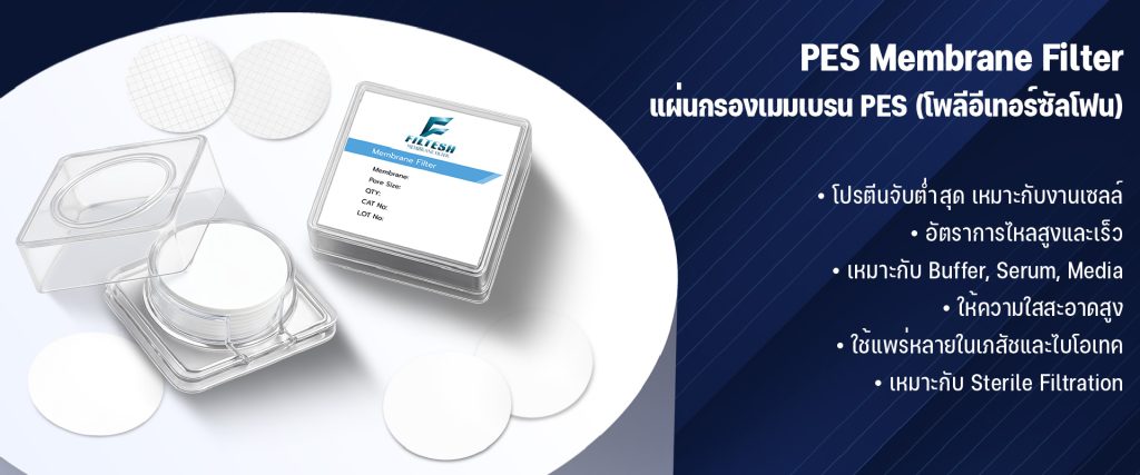 PES Membrane Filter – แผ่นกรองเมมเบรน PES (โพลีอีเทอร์ซัลโฟน)
