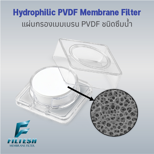 PVDF membrane ดูดซับโปรตีนต่ำ