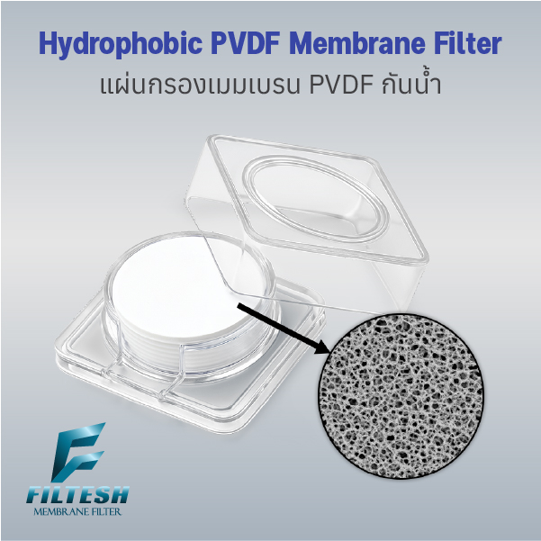 Hydrophobic PVDF Membrane Filter