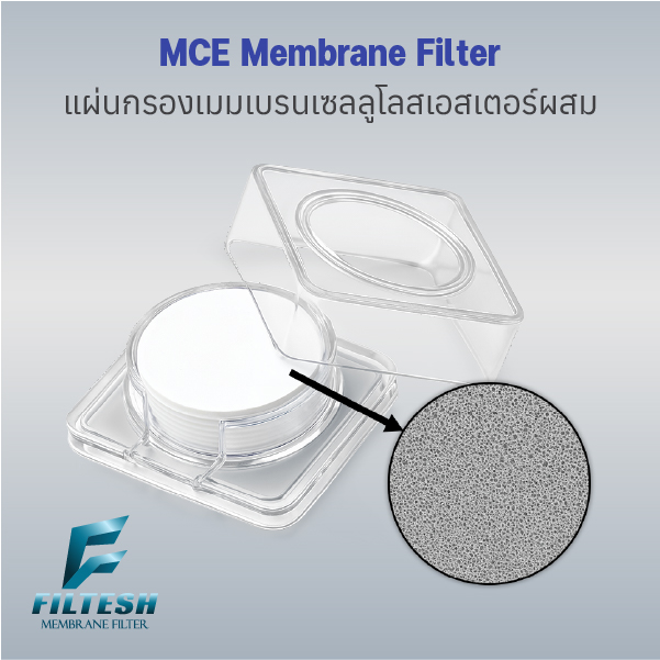 MCE membrane นับโคโลนี