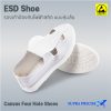 ESD Shoe Canvas Four Hole Shoes-1
