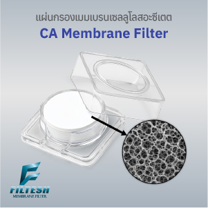 แผ่นกรองเมมเบรน CA (Cellulose Acetate Membrane Filter)