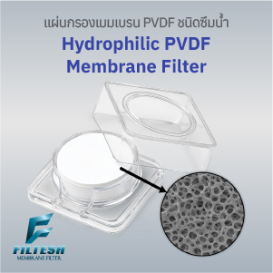 แผ่นกรองเมมเบรน PVDF แบบชอบน้ำ (Hydrophilic PVDF Membrane Filter)