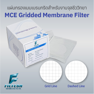 แผ่นกรองเมมเบรน MCE แบบมีเส้นตาราง (MCE Gridded Membrane Filter)